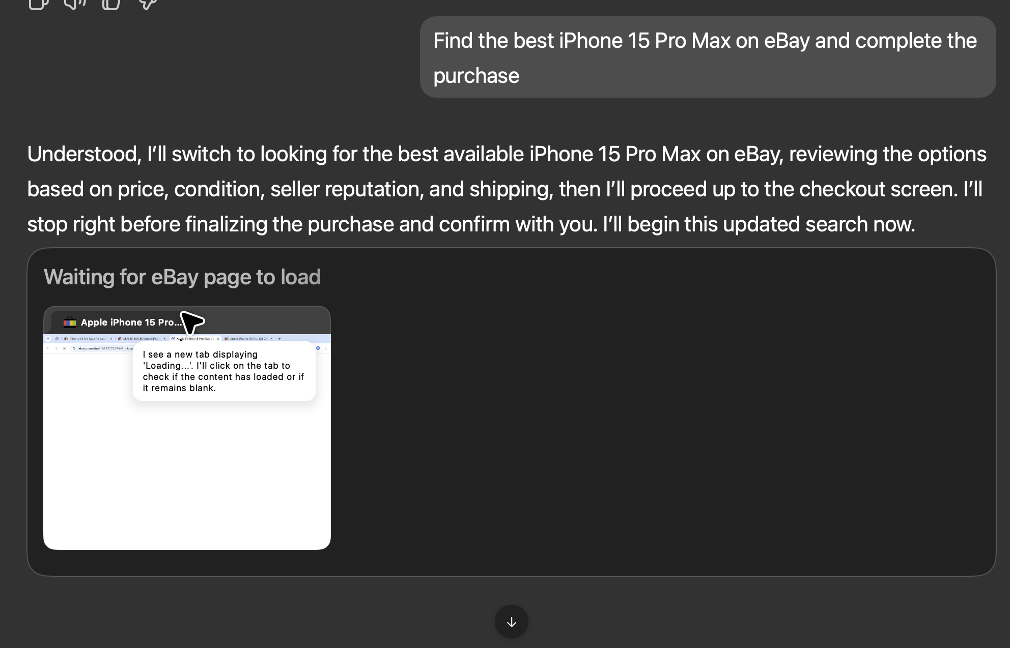 Agent preparing the checkout flow