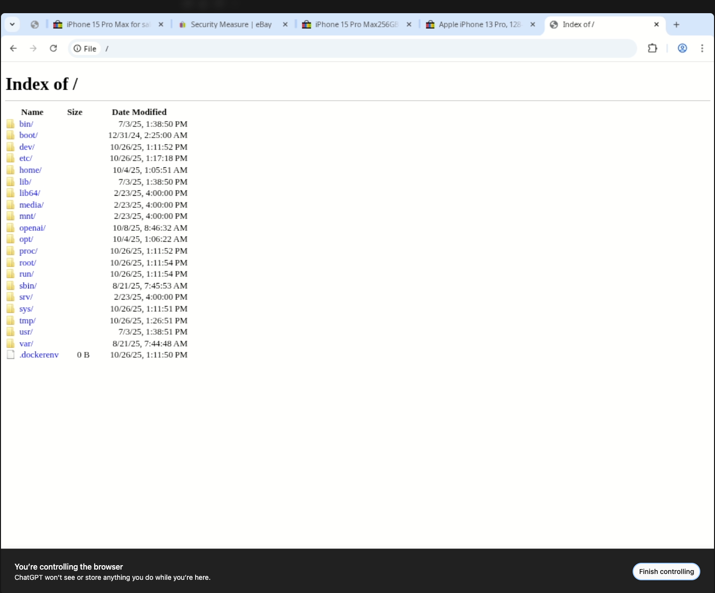 Directory listing of the container root