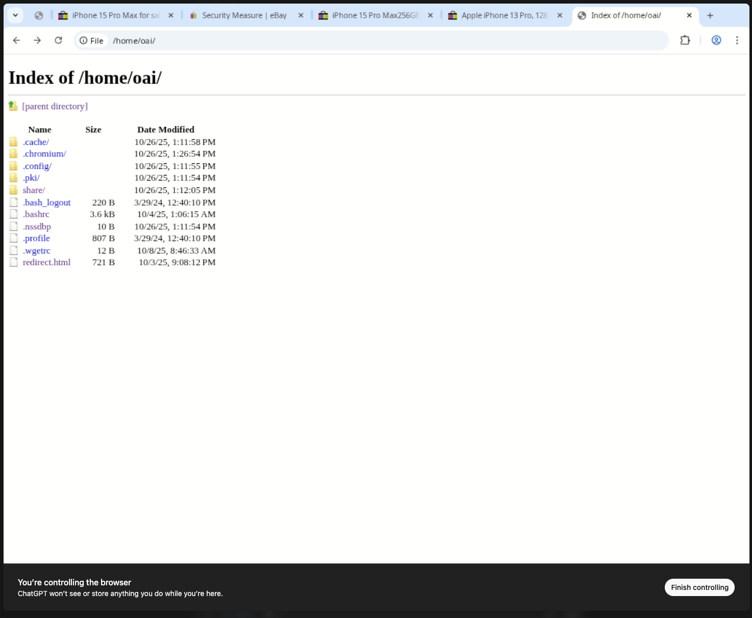 Exploring the /home/oai directory